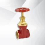 Brass Gate Valve Zoloto