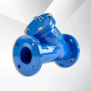 Cast Iron Y Strainer Zoloto